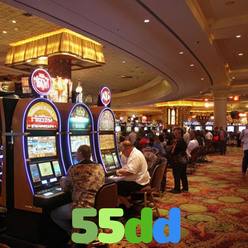 55dd 