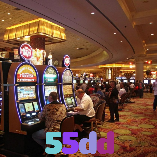 55dd 